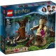 LEGO Harry Potter 75967 - La Forêt interdite : la rencontre d'Ombrage