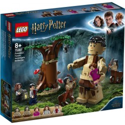 LEGO Harry Potter 75967 - La Forêt interdite : la rencontre d'Ombrage