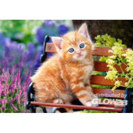 Puzzle Chaton tigre