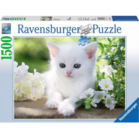 Ravensburger Puzzle 1500 pièces - Chaton blanc