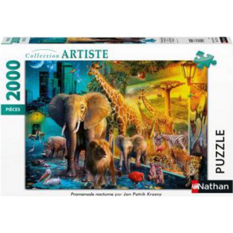 Puzzle Puzzle N 2000 p - Promenade nocturne