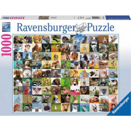 Puzzle 99 drôles animaux