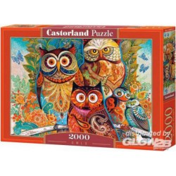 Puzzle Owls, Puzzle 2000 parties