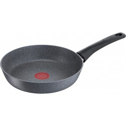 Tefal Poêle grise induction CHEF PIERRE 22cm