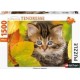 Puzzle Puzzle N 1500 p - Chaton en automne