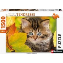 Puzzle Puzzle N 1500 p - Chaton en automne