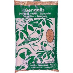 Riga Graines Pour Oiseaux Bengalis Grand Format 1Kg (lot de 4)