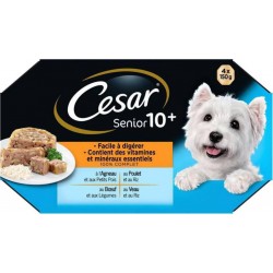 Cesar Senior 10+ Facile à Digérer Contient des Vitamines et des Minéraux 100% Complet 150g par 4 (lot de 4 soit 16 boîtes)