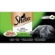 SHEBA COFFRE PRIMEUR BARQ4X85G 3065890121966