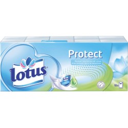 Lotus Protect Antibactérien 10 Etuis Mouchoirs (lot de 3)