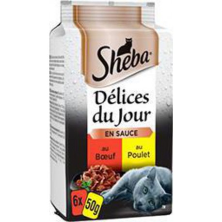 SACHT FRAIC DELICE JR 50G X 6