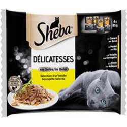 SHEBA SHEB DELIC.GELEE VOL.CHAT 340G