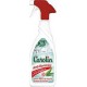 Carolin Désinfectant anti-bactérien huile essentielle d'eucalyptus spray 650ml