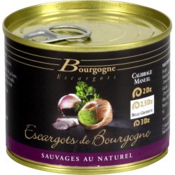 Bourgogne Escargots Escargots de Bourgogne au naturel