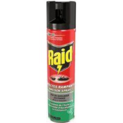 Raid Insecticide insectes rampants eucalyptus l'aérosol de 400ml