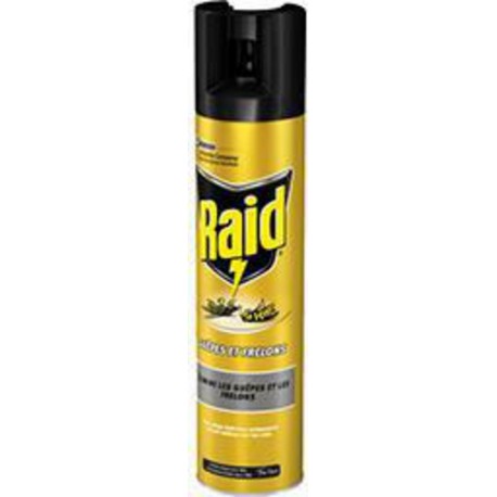 Raid Insecticide guêpes et frelons l'aérosol de 300ml