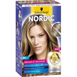 Nordic Coloration cheveux mèches & balayage