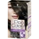 5 3 Schwarzkopf Coloration châtain clair glacé 5.3 SCHWARZKOPF