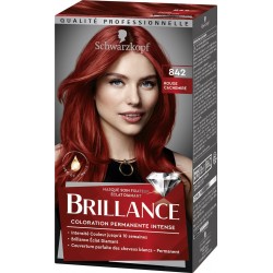 842 Schwarzkopf Coloration cheveux brillance rouge cachemire