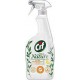 CIF ULTRA DEGRAISSANT 750ML