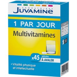 Juvamine 1 Par Jour Multivitamines Vitalité Physique et Intellectuelle (lot de 2)