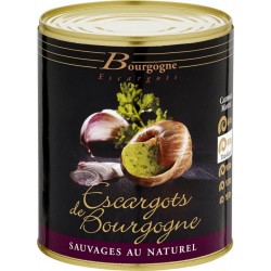 Bourgogne Escargots Escargots de Bourgogne belle grosseur