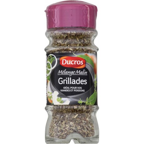 Ducros Mélange Malin Grillades Idéal pour vos Viandes et Poissons 17g (lot de 3)