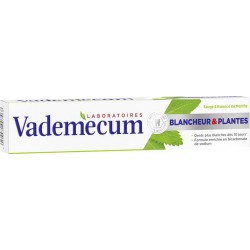 Vademecum Dentifrice Blancheur Et Plantes Goût Sauge et Essence de Menthe 75ml (lot de 4)