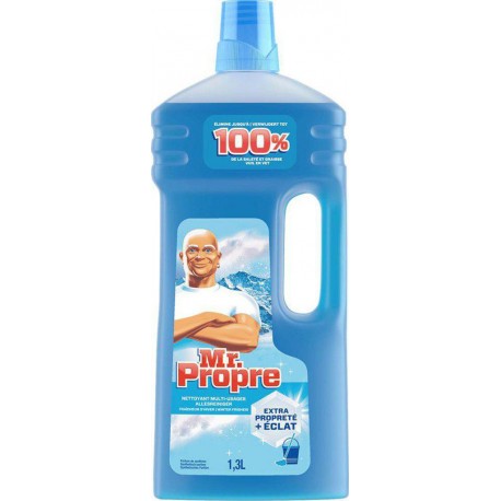 Mr. Propre Mr Propre Nettoyant Multi-Usages Fraîcheur d’Hiver 1,3L