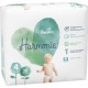 Pampers Couches Harmonie Taille 4