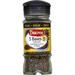 Ducros 5 Baies Moulues Assemblage de Poivres & d’Epices Doux 35g