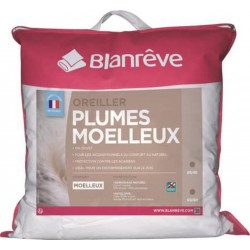 Blanrêve Blanreve Oreiller duvet et plumettes oie et canard moelleux anti-acariens 60x60cm
