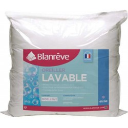 Blanrêve Blanreve Oreiller moelleux lavable à 60 degrés en microfibre 60x60cm