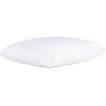 Rêve De Nuit Reve De Nuit Oreiller Douceur 60x60 Reve de Nuit 550g