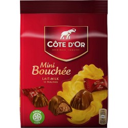 COTE D'OR Mini bouchée pralines bonbons de chocolat au lait 122g