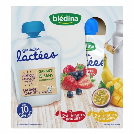 Blédina Gourdes Lactées Fruits Rouges et Fruits Exotiques (de 10 à 36 mois) par 4 gourdes de 85g (lot de 4 soit 16 gourdes)