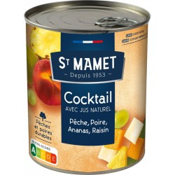 St Mamet Fruits au sirop Cocktail Pêche Poire Ananas Raison avec jus naturel 500g