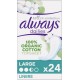 Always Protège-slips Cotton Protection large x24 boîte 24