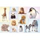 Schmidt Puzzle 200 pièces : Bébés animaux sauvages