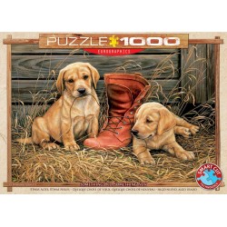 Eurographics Puzzle 1000 pièces : Quelque chose de vieux, quelque chose de nouveau