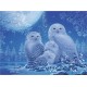 RAVENSBURGER Puzzle 500 pièces : Star Line : Chouettes au clair de lune