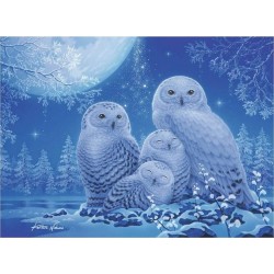 RAVENSBURGER Puzzle 500 pièces : Star Line : Chouettes au clair de lune