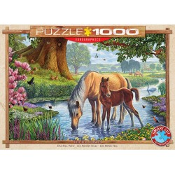 Eurographics Puzzle 1000 pièces : Poneys