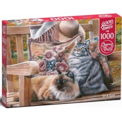 Puzzle 1000 pièces : Passer le temps