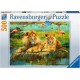 RAVENSBURGER Puzzle 500 p Lions dans la savanne