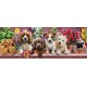 KS Games Puzzle 1000 pièces panoramique : Chiots