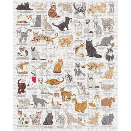 Puzzle 1000 pièces : Amoureux des chats