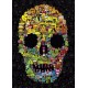 Heye Puzzle 1000 pièces : Doodles skull