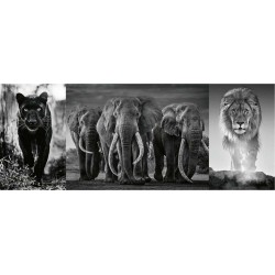 RAVENSBURGER Puzzle 1000 pièces : Triptyque : Panthère, éléphant, lion