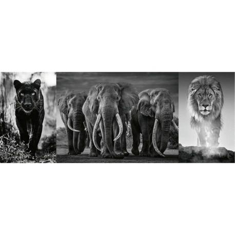 RAVENSBURGER Puzzle 1000 pièces : Triptyque : Panthère, éléphant, lion